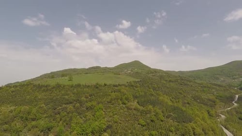 Green Forest and Cloudy Sky