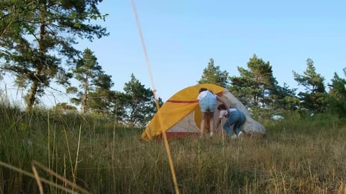 Young Children are Resting in a Summer Camp They Run to the Tent