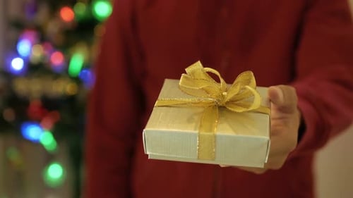 Gift with Gold Bow Held near Christmas Tree
