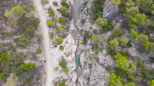 Flug über einen Gebirgsfluss und einen Pfad zu einer Schlucht inmitten eines Nadelwaldes