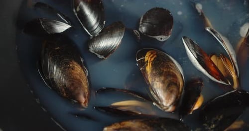 Mussels soaking in water