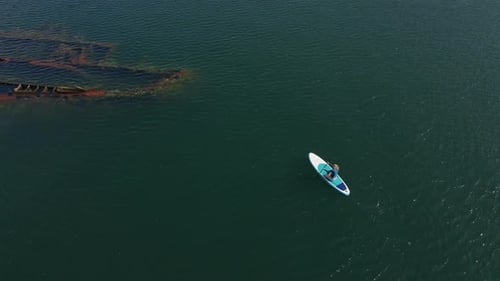 Aerial Shot