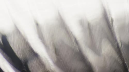 Cinematic Abstract Motion Background (No CGI used) 1254