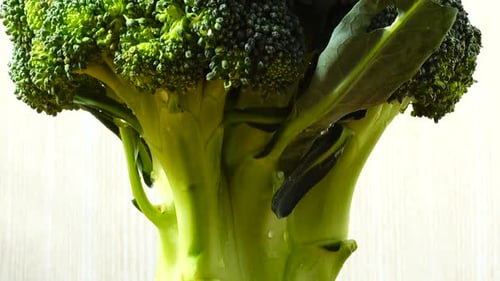 Close Up of Fresh Green Broccoli