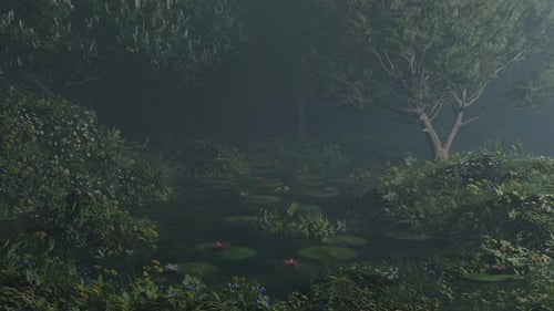 09 - Night View In The Forest By The Flowing Stream - Beautiful View Of The Jungle At Night
