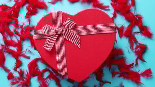 Red Heart Gift with Bow and Feathers