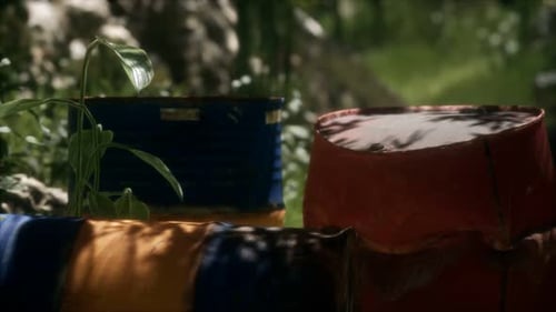 Rusty Barrels in Green Forest