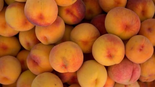 Close-up of Many Peaches on the Market. The Camera Turns and Zooms In.