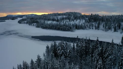 Beautiful aerial view rising above snowy Lapland Sweden winter landscape forest trees at sunrise
