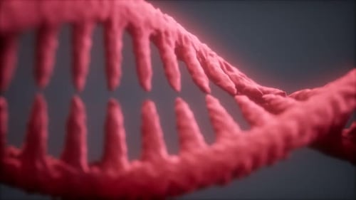 DNA Molecule on the Grey Background