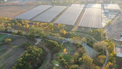 Aerial View of Greenhouses and Rural Fields