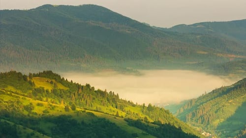 Wonderful Summer Forest at Sun Mountain Range