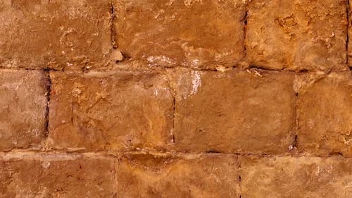 Textural Brick Wall Close Up Shot