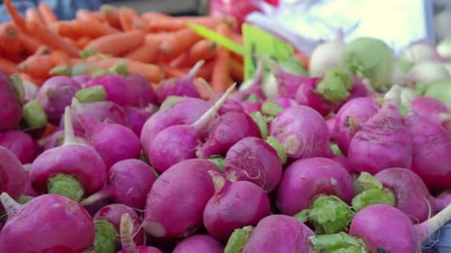 Radishes Carrots and Red Cabbages at Village Farmer Market