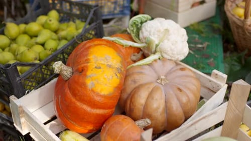 Freshly Harvested Vegetables and Fruits in Crates