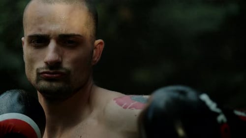 Serious Boxer With Gloves Stares into Camera