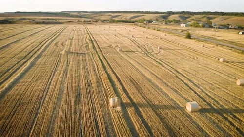 Rolls of Haystacks on the Field. Landscape with Twisted Haystacks in the Field. Agriculture Concept.