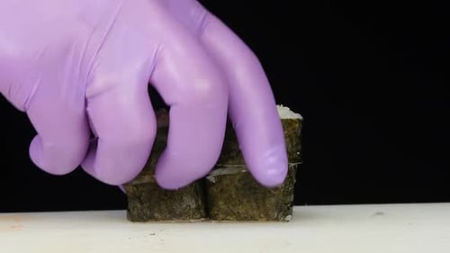 Sushi Master Puts the Rolls in Columns. Close Up