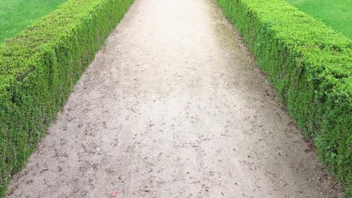 Path & Park