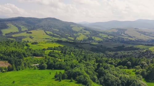 Aerial Flying Over a Forest of Green Trees. Background of Green Trees. Drone Footage