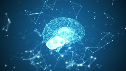 Digital Brain Reveal Animation in Futuristic Network Style