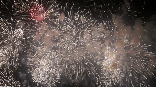 Spectacular Fireworks Exploding in Dark Night Sky