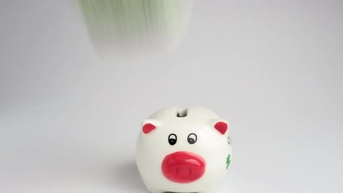 Money is put into the piggy bank. Piggy bank filled with dollar bills. Piggy bank with money.