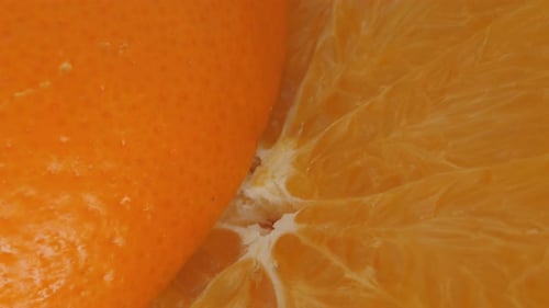 Orange on a White Background