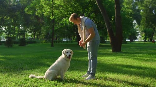 Man Pets Dog in Lush Green Park