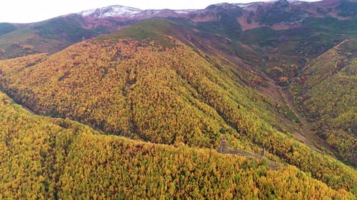 Wald und Herbst