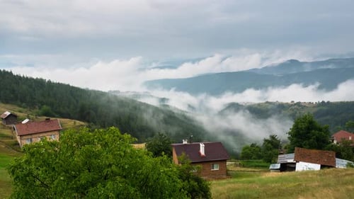 Moving morning mists over the tree-covered mountain slopes