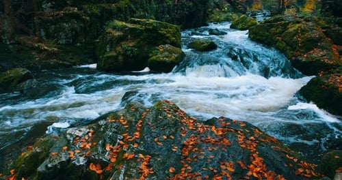wild river Doubrava in fall colors, autumn landscape