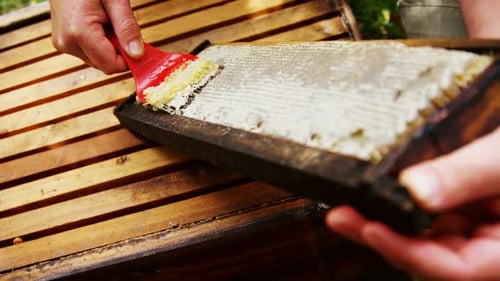Beekeeper Scraping Honeycomb with Red Tool