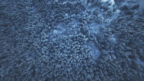 Aerial Drone View: Holidays in Ski Resort Bukovel