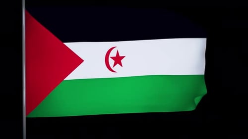 Western Sahara National Flag Waving Loop
