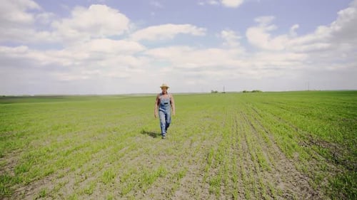 Happy Farmer Confidence Is a Wide Field of Young Wheat