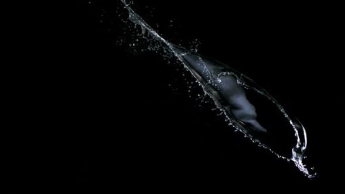 Elegant Water Splash in Slow Motion on Black