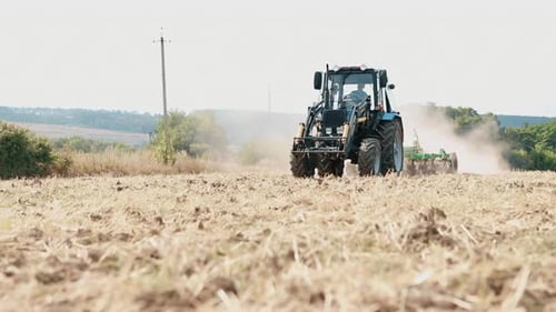 Old Tractor Plows the Field for Sowing Wheat. Cultivated Land Work in the Field.