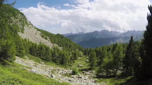 Side Pov Walking Along Trail Looking at Wild Woods Valley