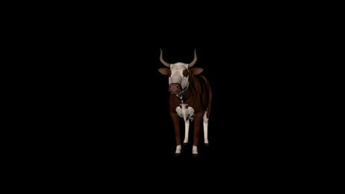 Vieh-Leerlauf vorne
