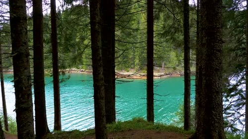 Lago con agua turquesa y bosque verde de montaña. Árboles viejos en el lago de la montaña