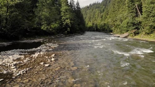 Landscape with Flowing River in Mountain Forest
