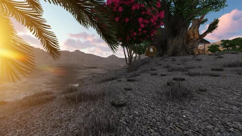 Home garden in the afternoon