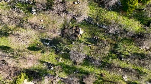 Mendal Spring Garden Aerial View 4 K