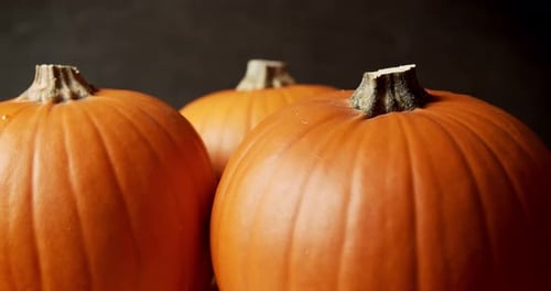 Three Orange Pumpkins Close Up Still Life