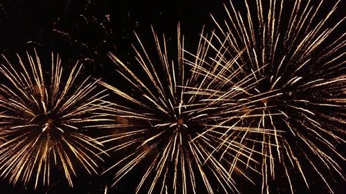 Golden and Red Fireworks Explode in Night Sky