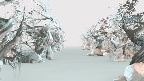 Bonsai 03