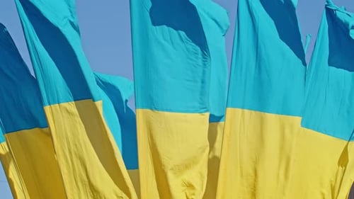 Blue and Yellow Flags Fluttering in Breezy Air