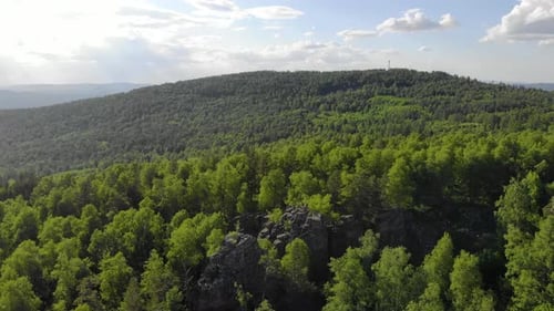Aerial View of Green Trees at the Top of the Mountain