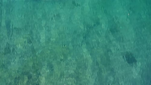 Aerial View of Crystal Clear Turquoise Ocean Water